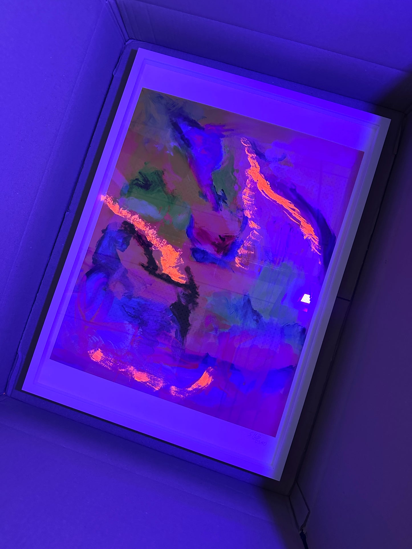 Sebastian Merk Limited Edition "SUNSET OBSERVER" 1-50 50x70 cm